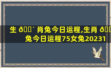 生 🐴 肖兔今日运程,生肖 🌵 兔今日运程75女兔202310月3日特吉生肖